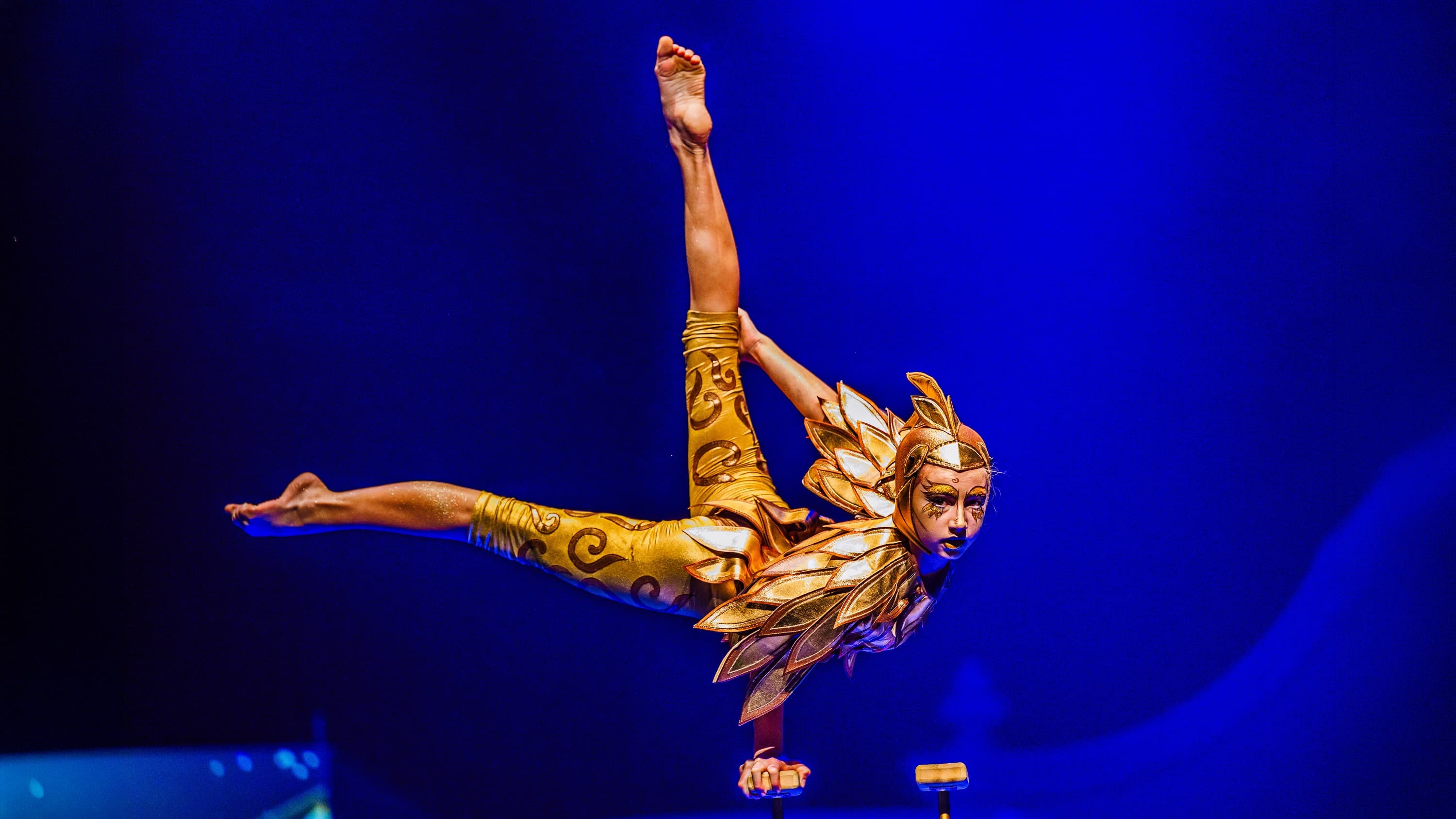 Theatrical circus show "Pushkin's Dreams". New Year's Eve screenings