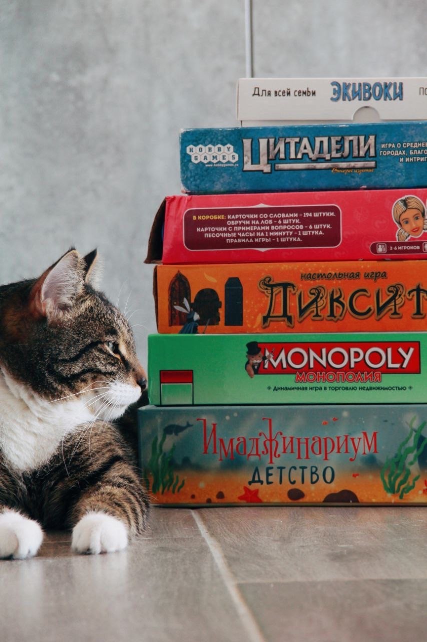 Котокафе Murchim на улице Владимира Заровного 