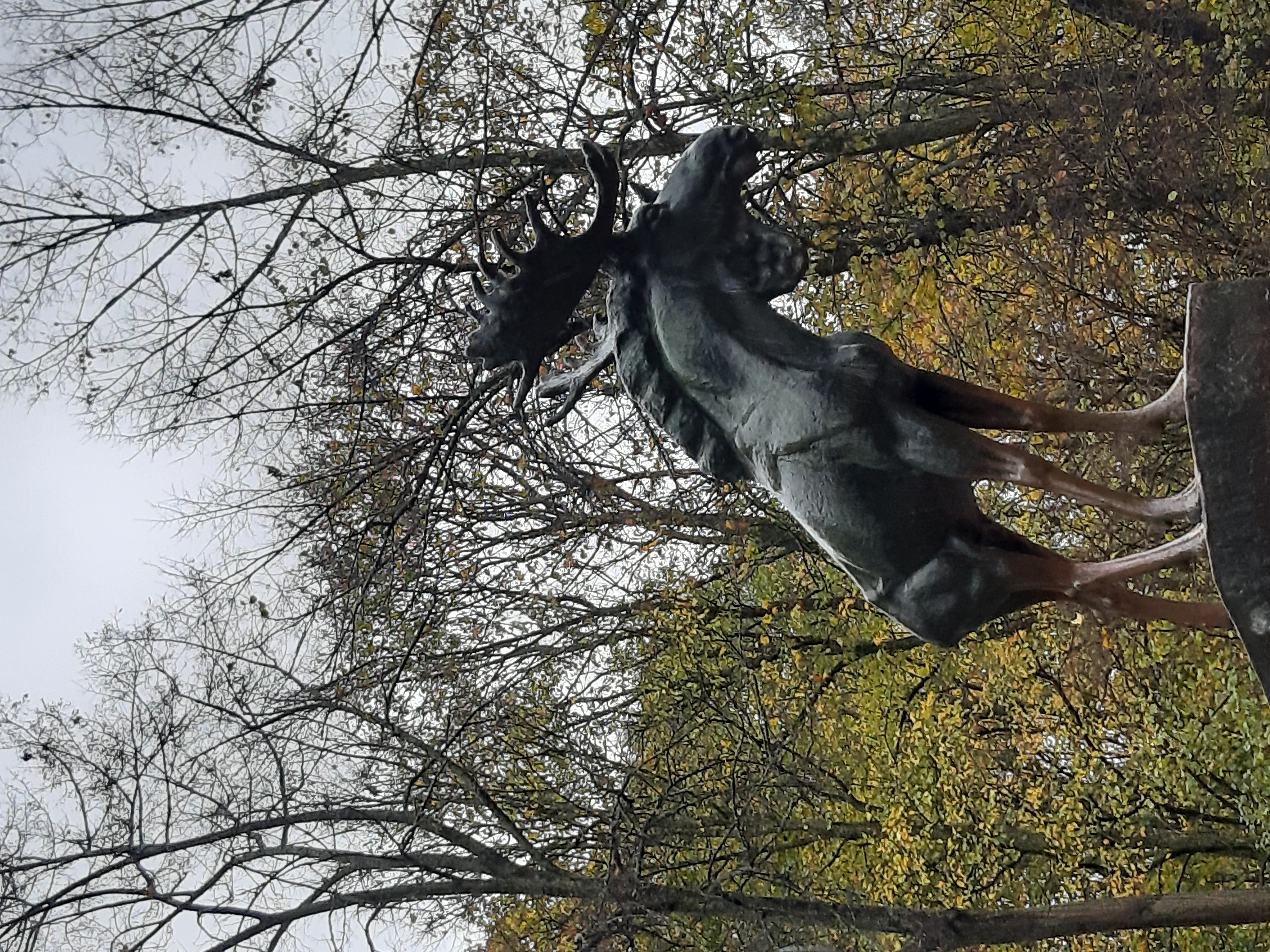 На машине в средневековый Выборг