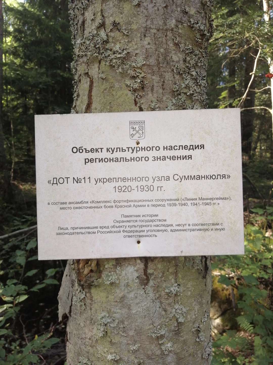 По тропам «Линии Маннергейма»