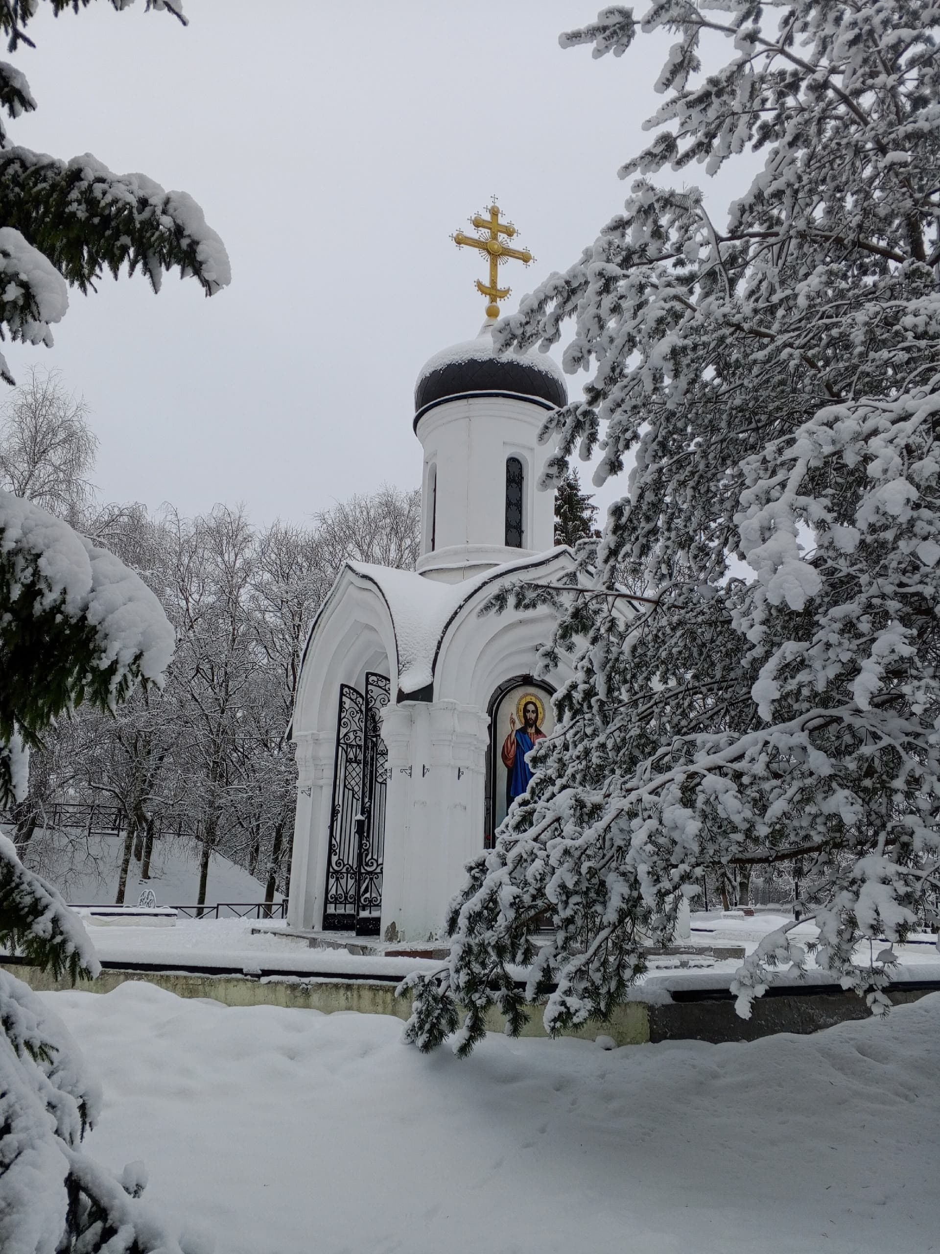 Листая Вологду