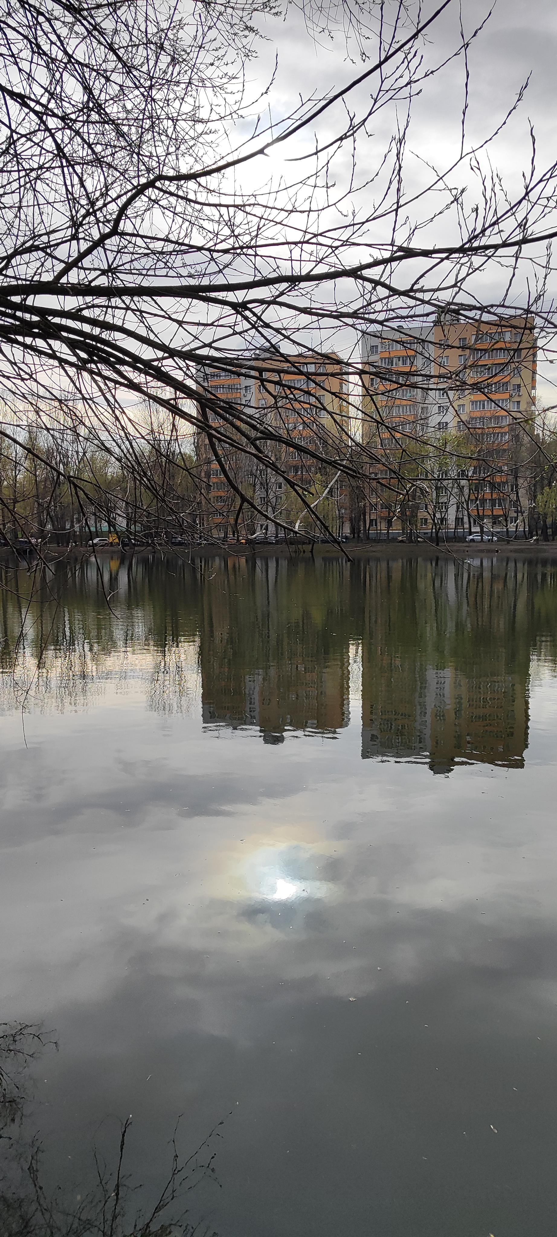 Литературное Кунцево
