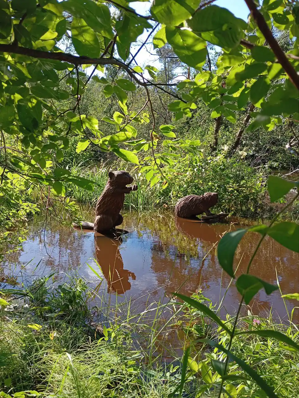 От лесных троп к термальным водам