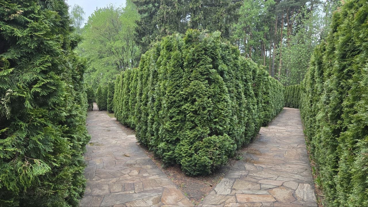 ВДНХ сквозь века