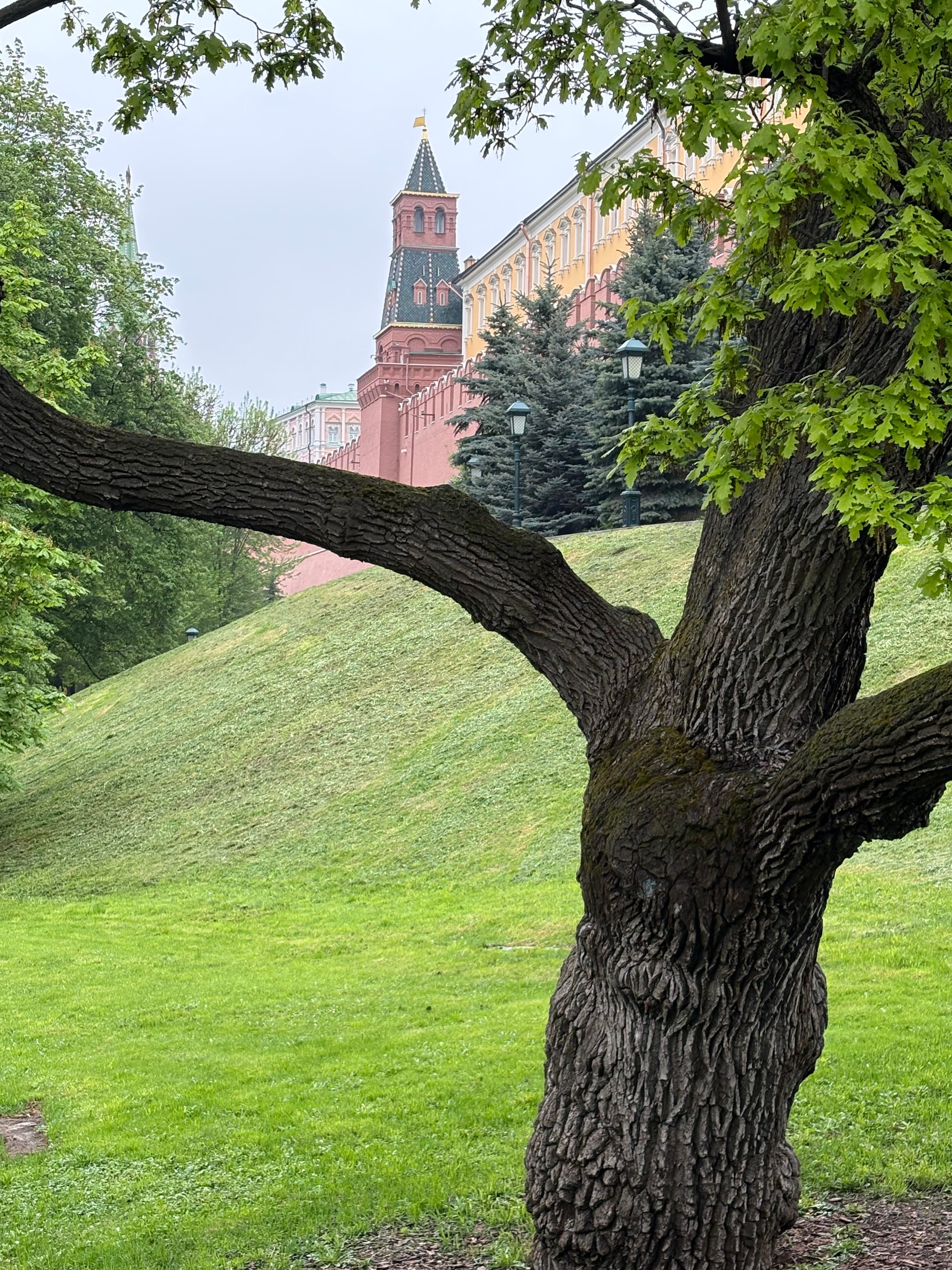 Архитектурный ансамбль Красной площади и Александровский сад: каменная летопись истории России и застывшая музыка ее души