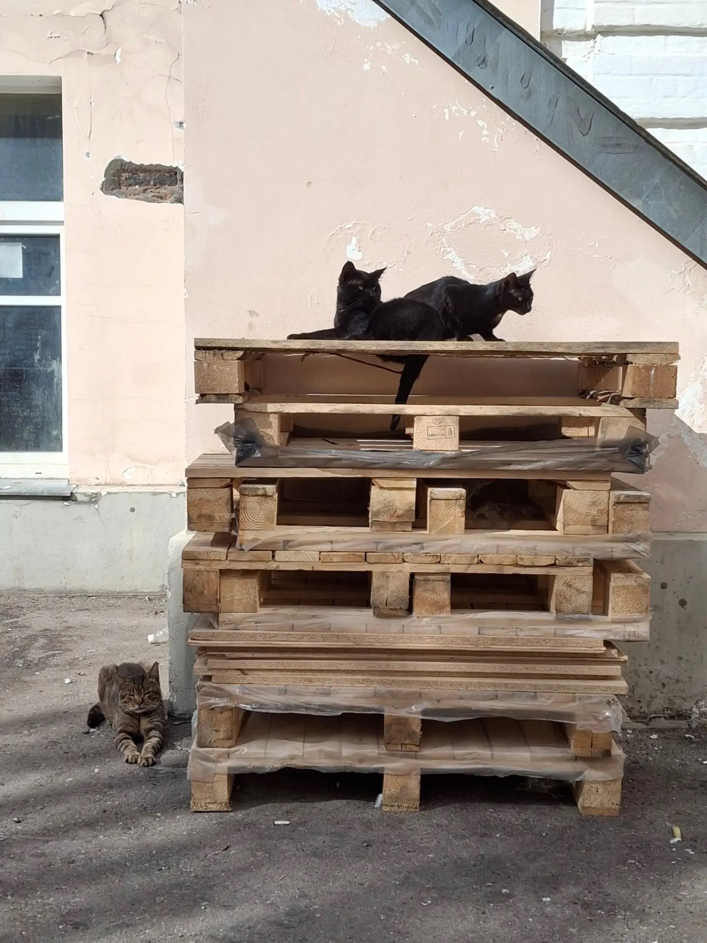 Замоскворечье. Москва заповедная