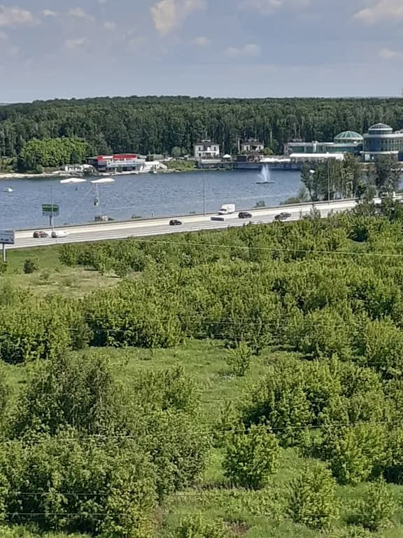 Уютная студия с видом на лес и озеро