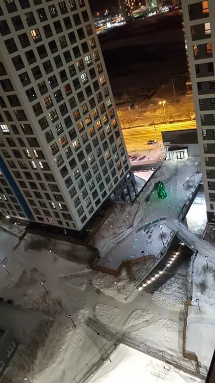 Квартира у леса