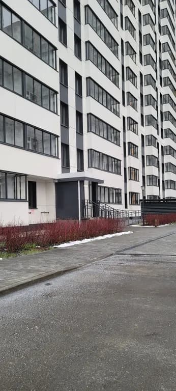 Просторная студия со свежим ремонтом и видом на лес