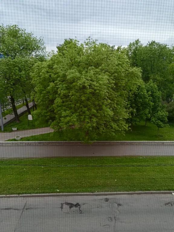 Приют астронавта