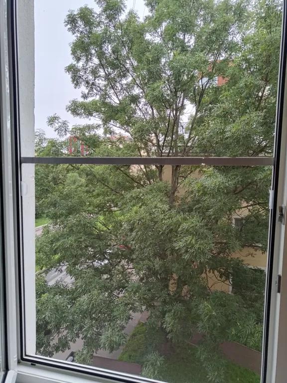 Приют астронавта