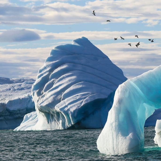 Franz Josef Land Nature Reserve