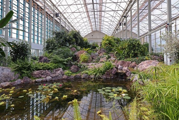 Kemerovo Botanical Garden