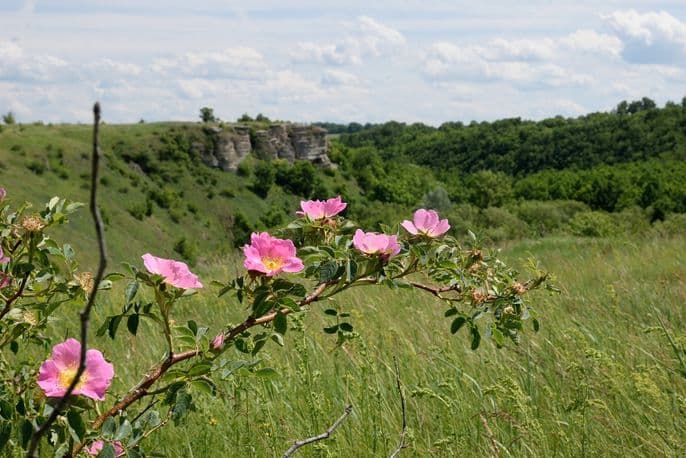 Vorgol Rocks, Merchant Taldykin's Manor