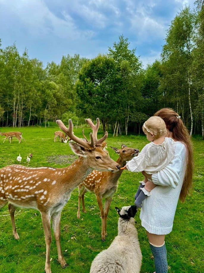 Оленья ферма Бэмби Лэнд