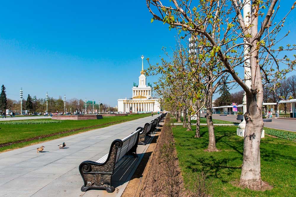 Аллея космонавтов (Каштановая роща)