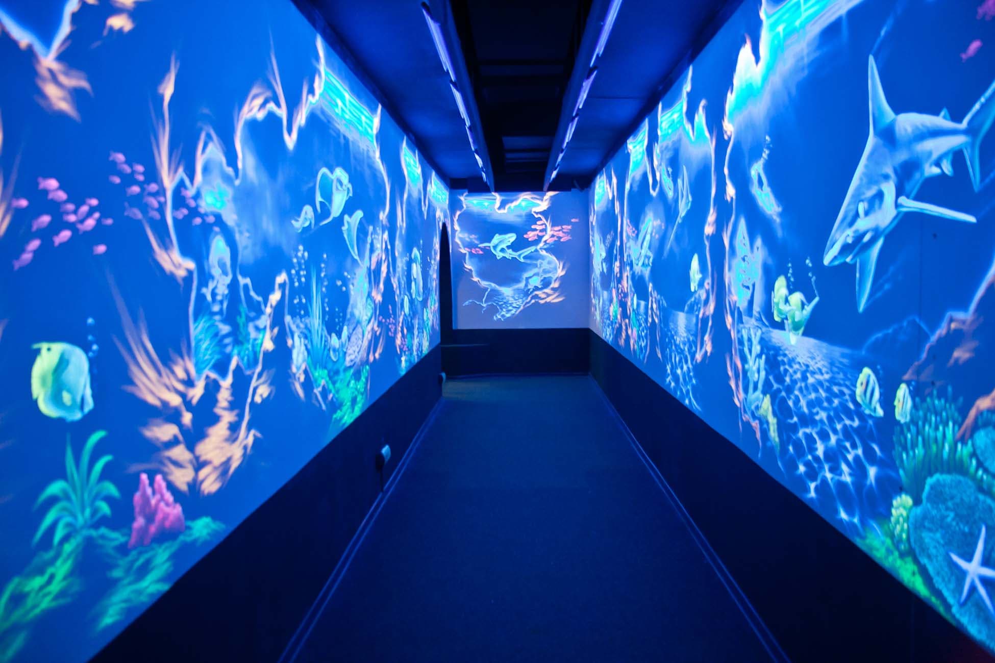 Океанариум Sochi Discovery World Aquarium