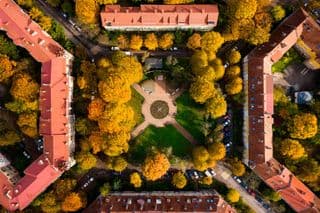 Янтарное сердце Калининграда