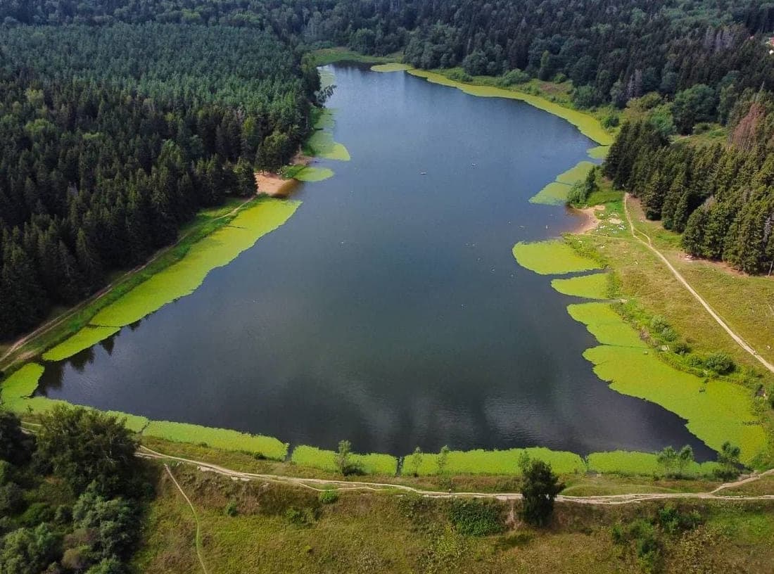 Пляж на Загорском море