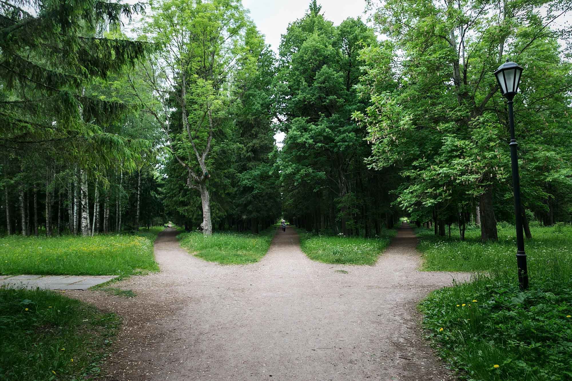 Парк «Сильвия»