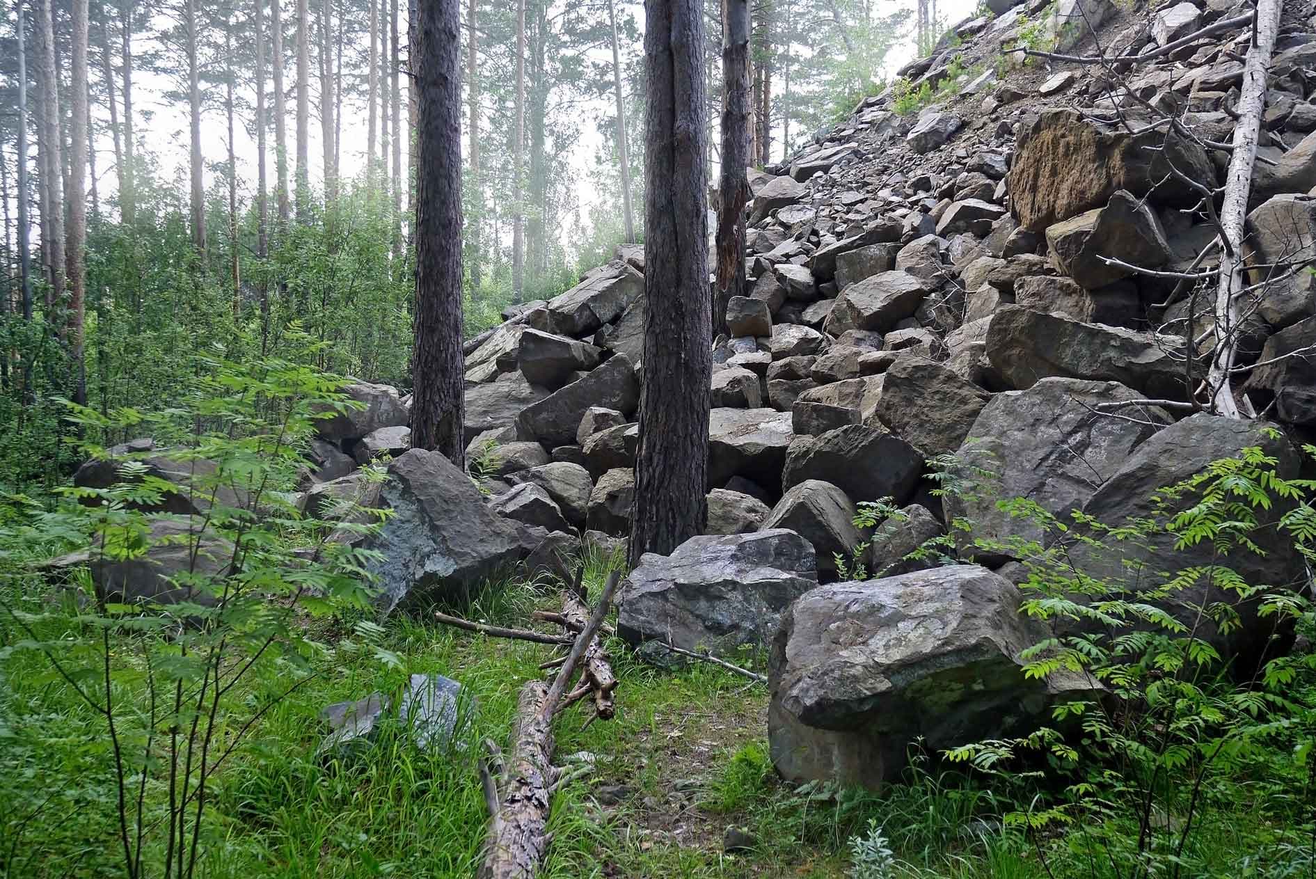 Уктусский лесопарк