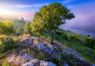 Душа Прикамья: знакомство с природой Пермского края 