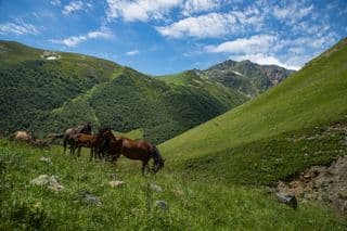 Знакомство с историей древней Дигории. Однодневное автопутешествие по Северной Осетии — Алании
