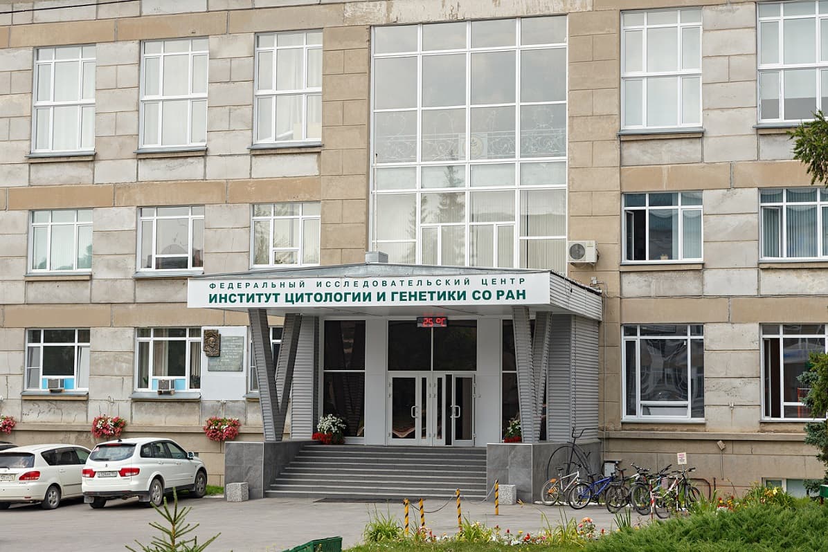 Институт цитологии и генетики СО РАН