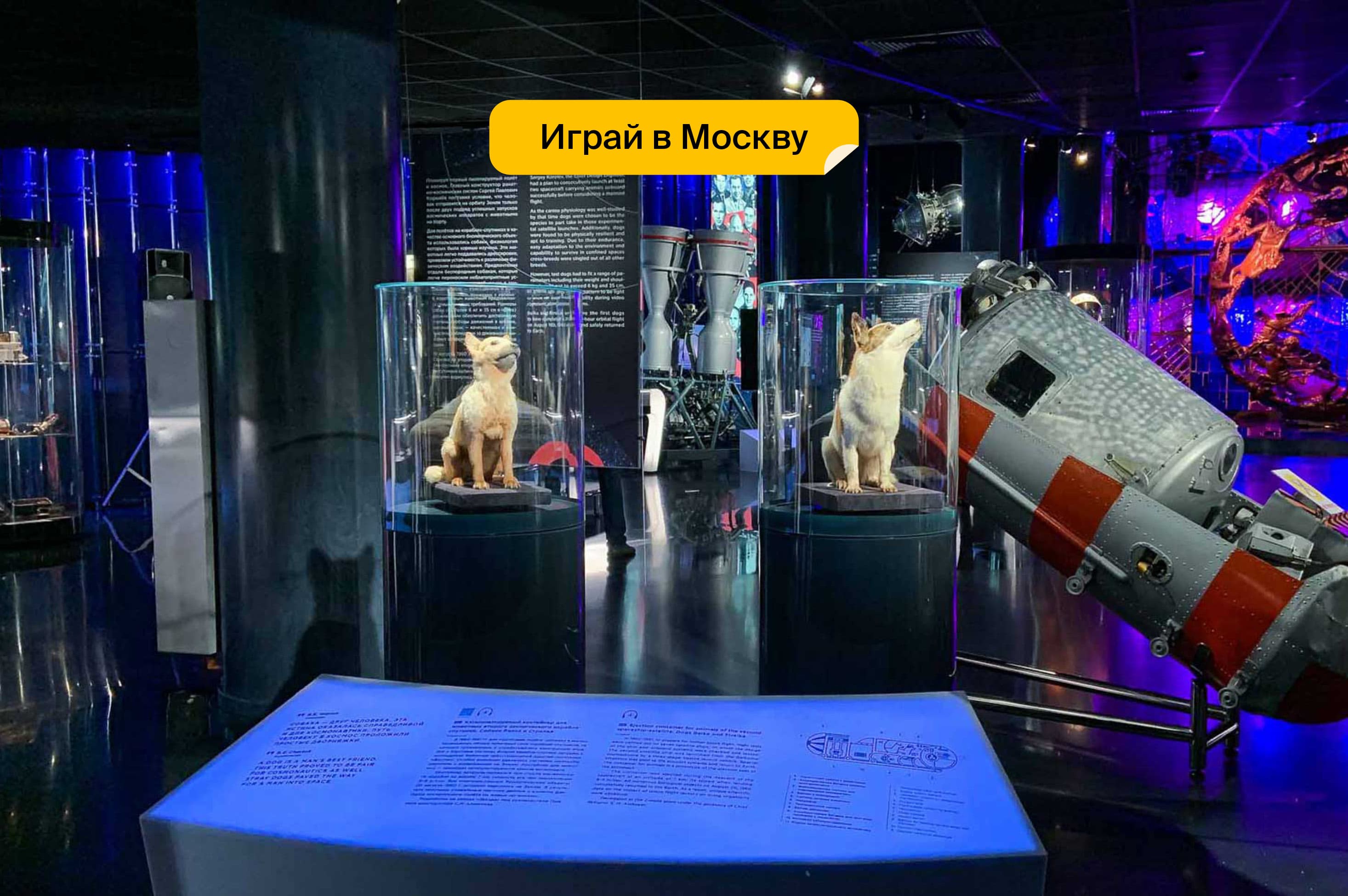Музей космонавтики. Собаки в космосе