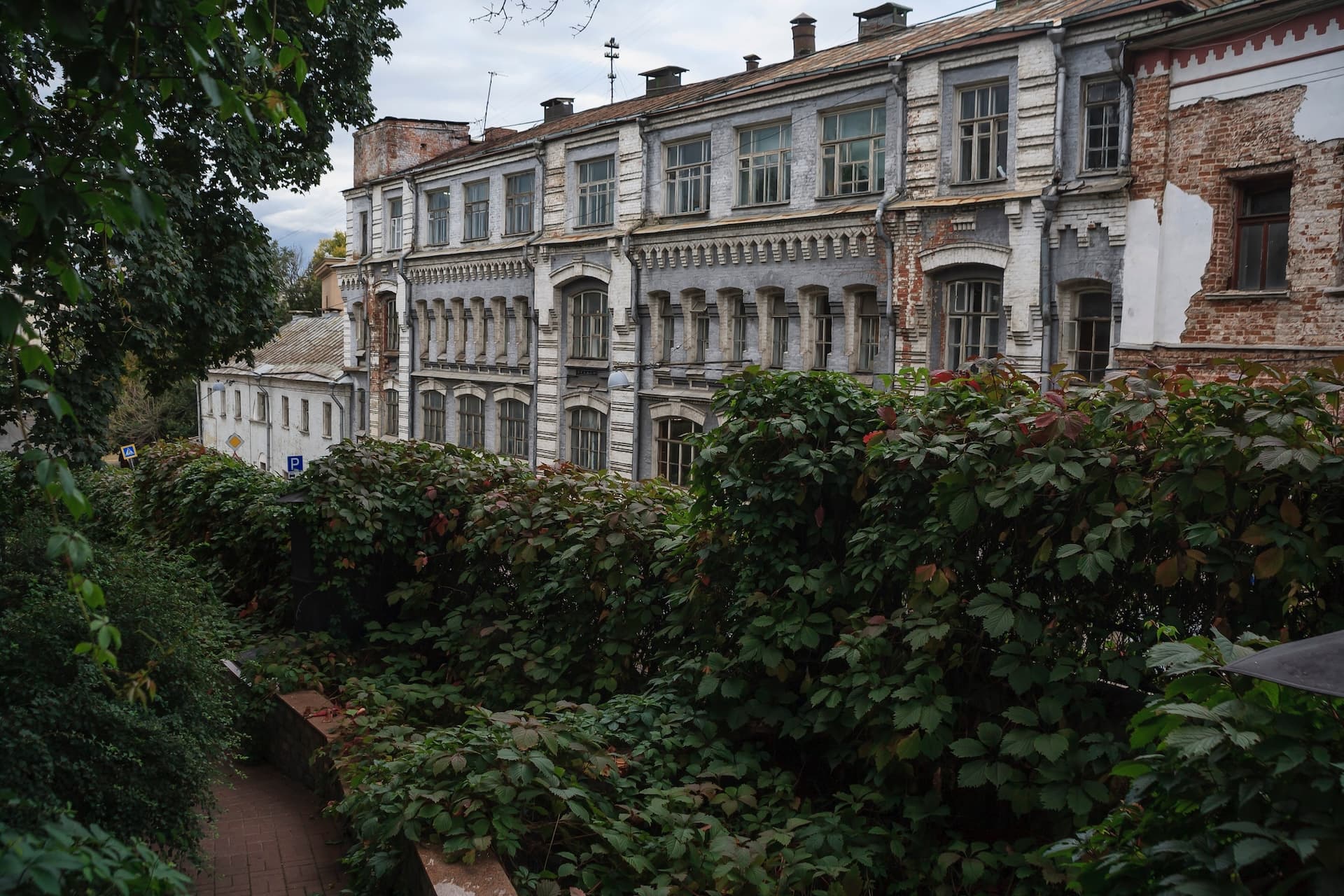 Морозовский сад