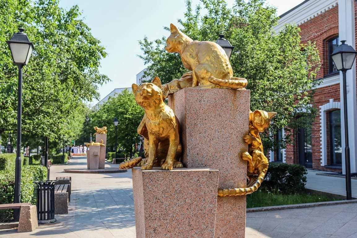 Сквер сибирских кошек