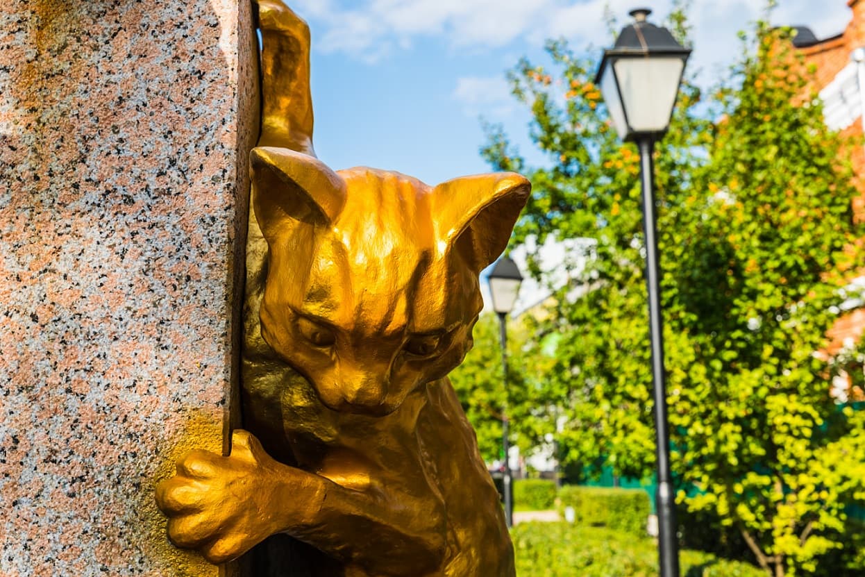 Сквер сибирских кошек
