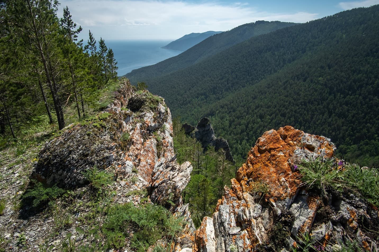 Приморский хребет