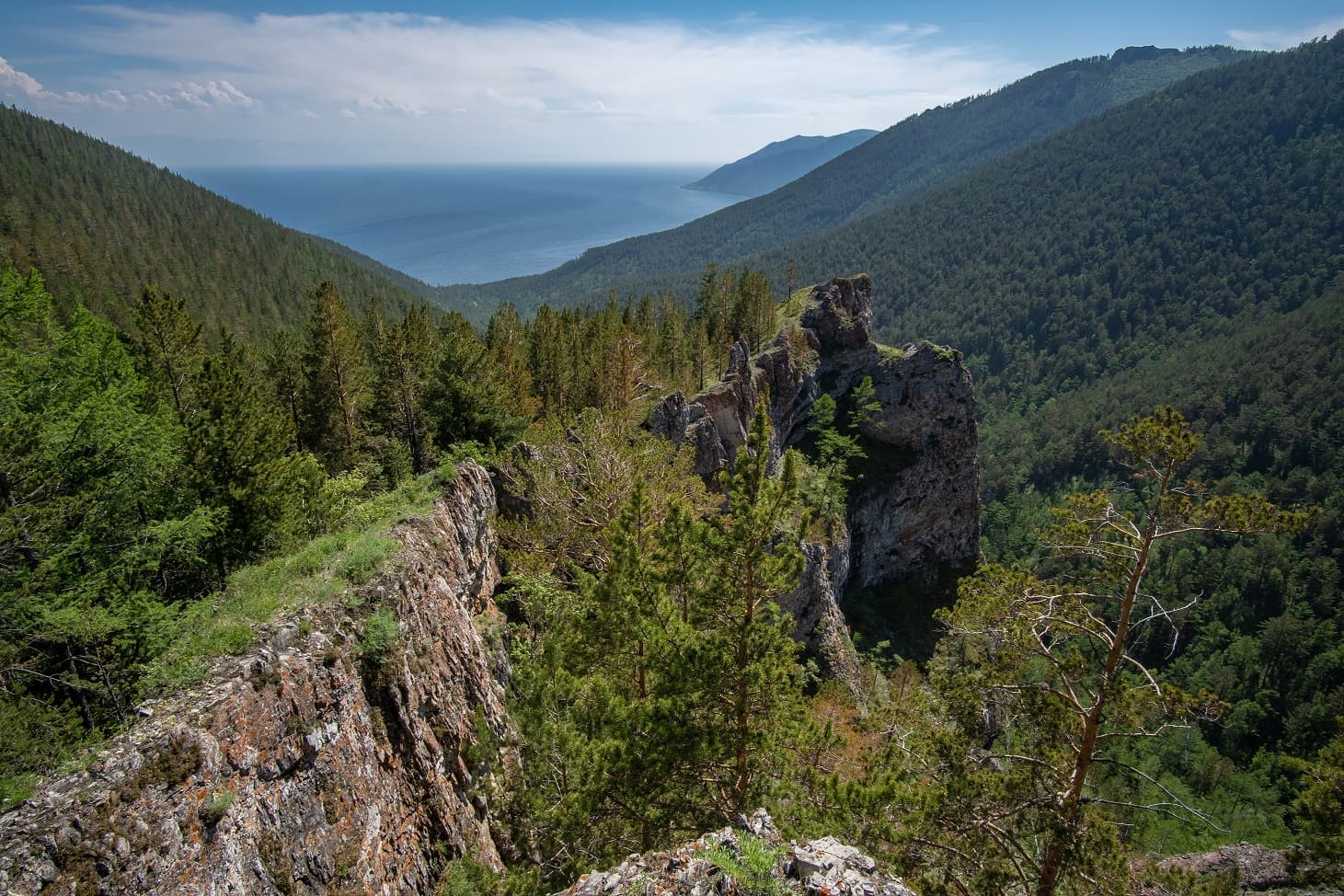 Приморский хребет