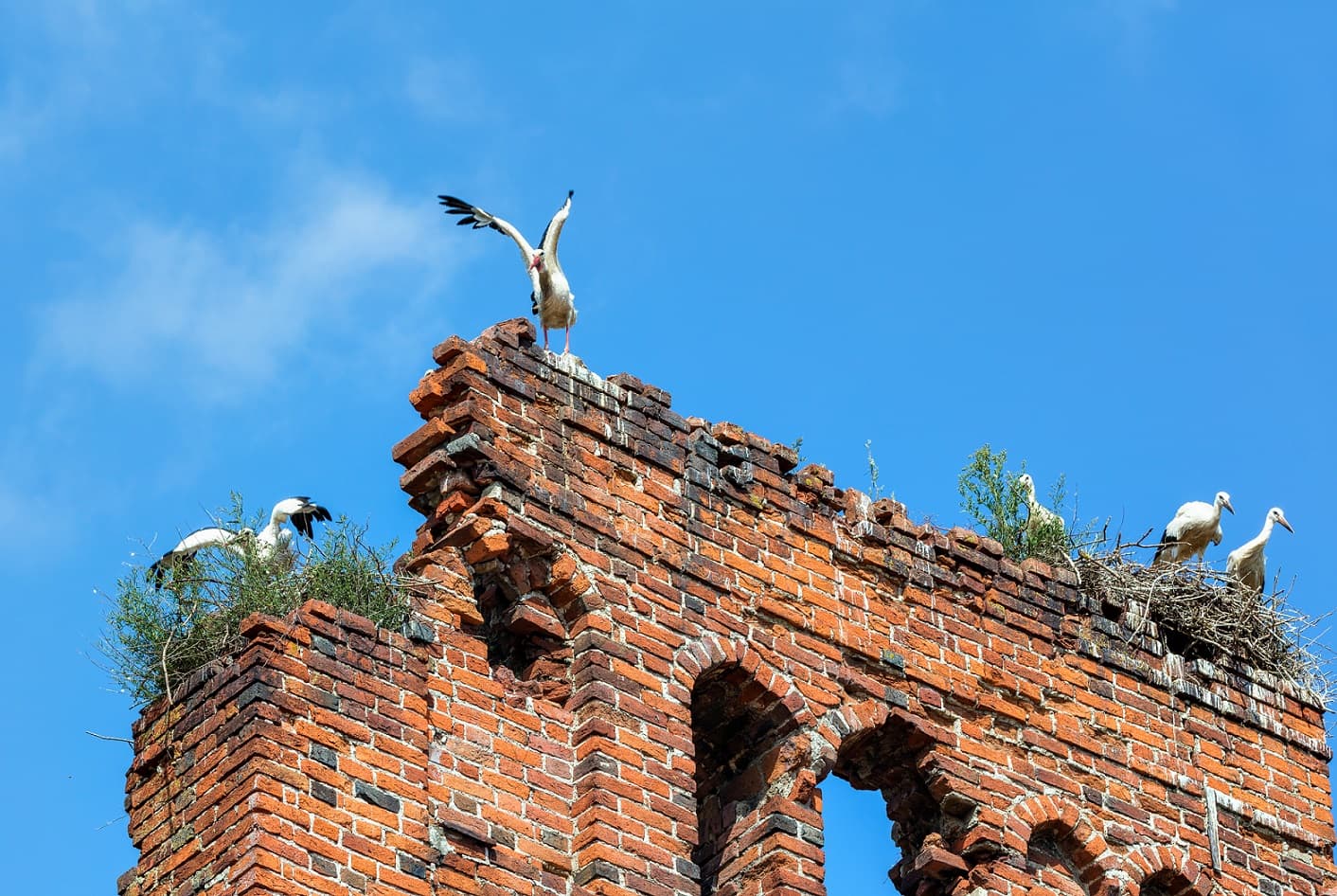 Кирха Бёттхерсдорфа