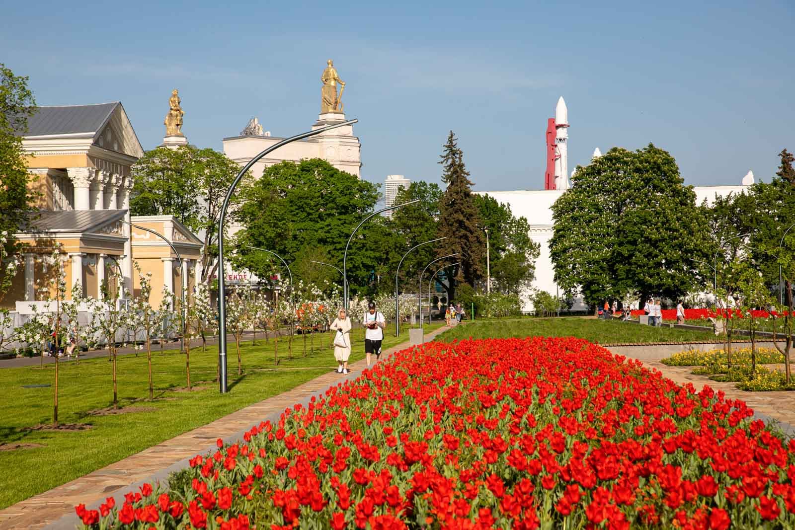 Большая картина полей