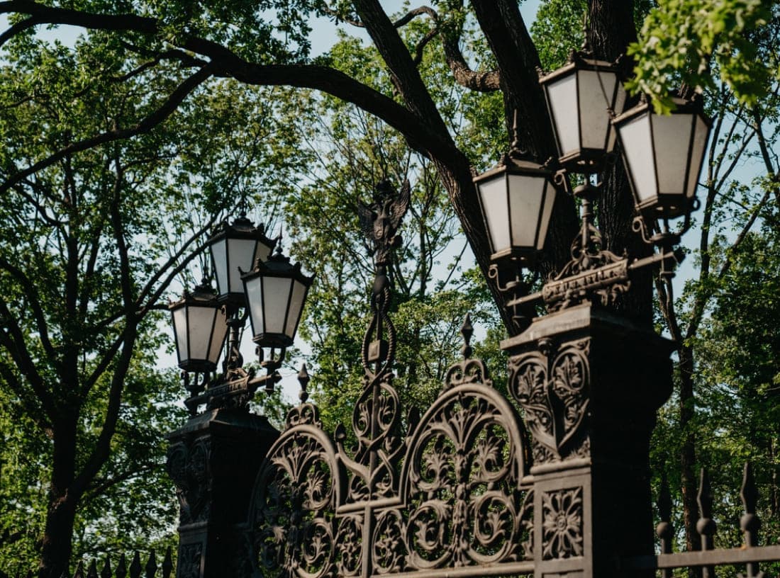 Петровский парк 