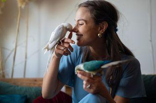 Winged Weekend: A Route Through the Capital's Birdlife