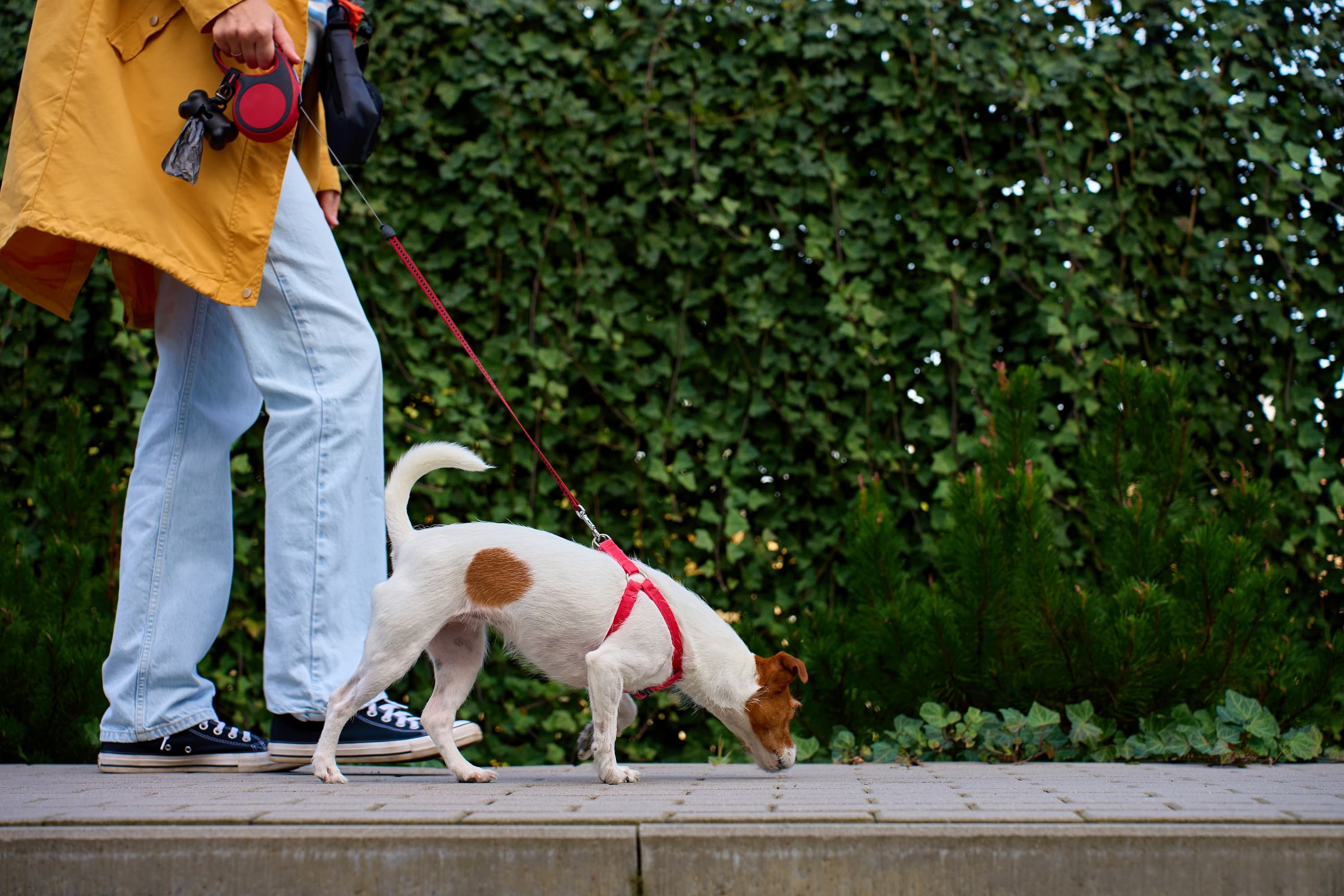 Парк «Радуга»