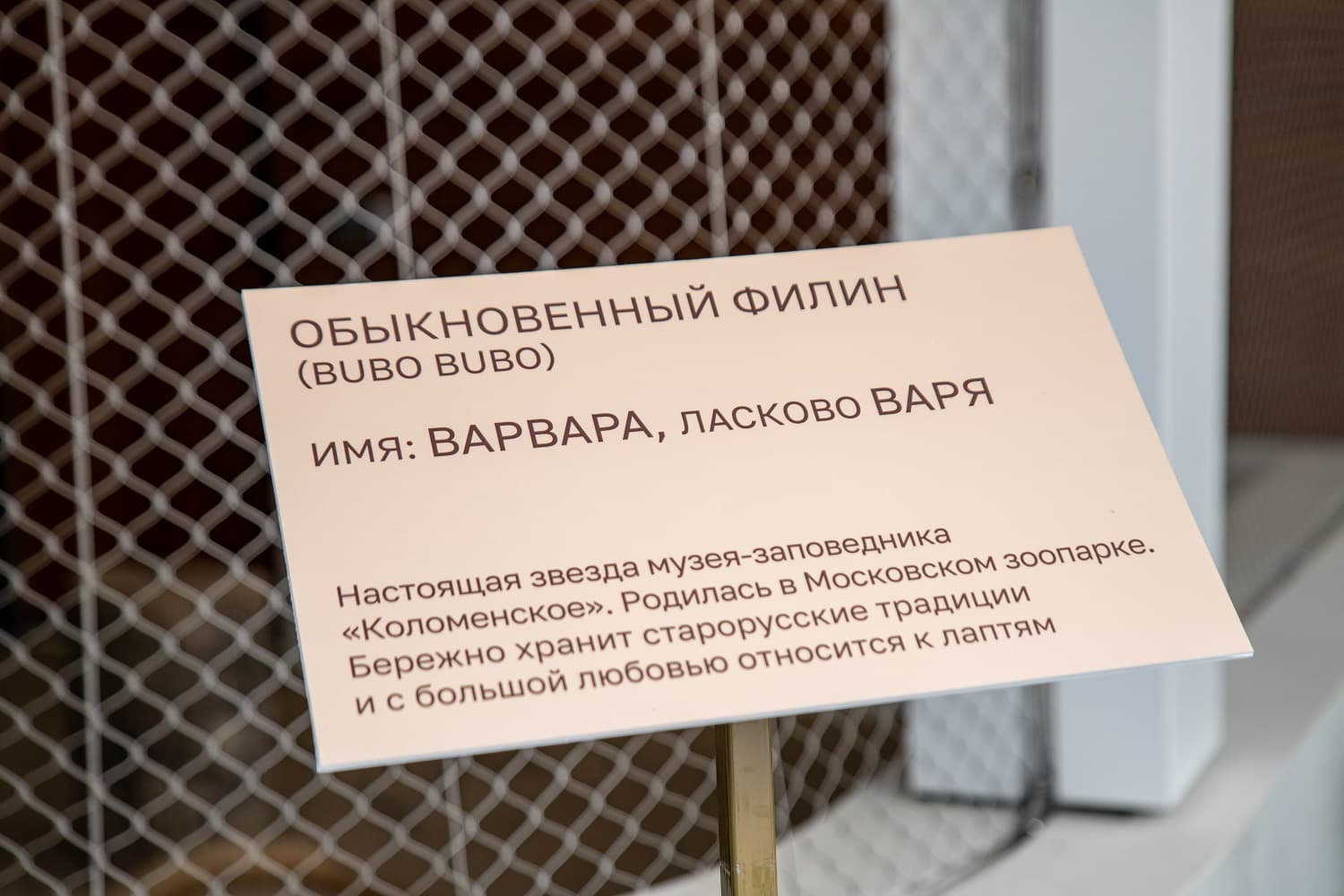 Соколиный двор в Коломенском