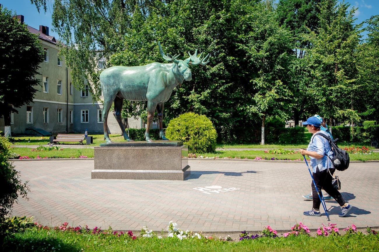 Гусевский (Гумбинненский) лось