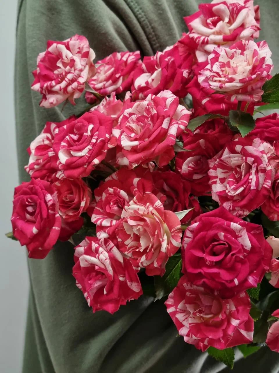 Флор и Лавр