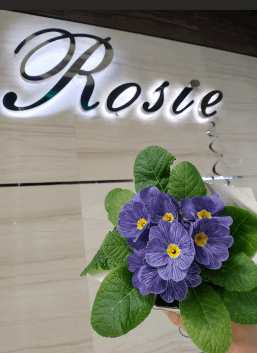 РОЗИ