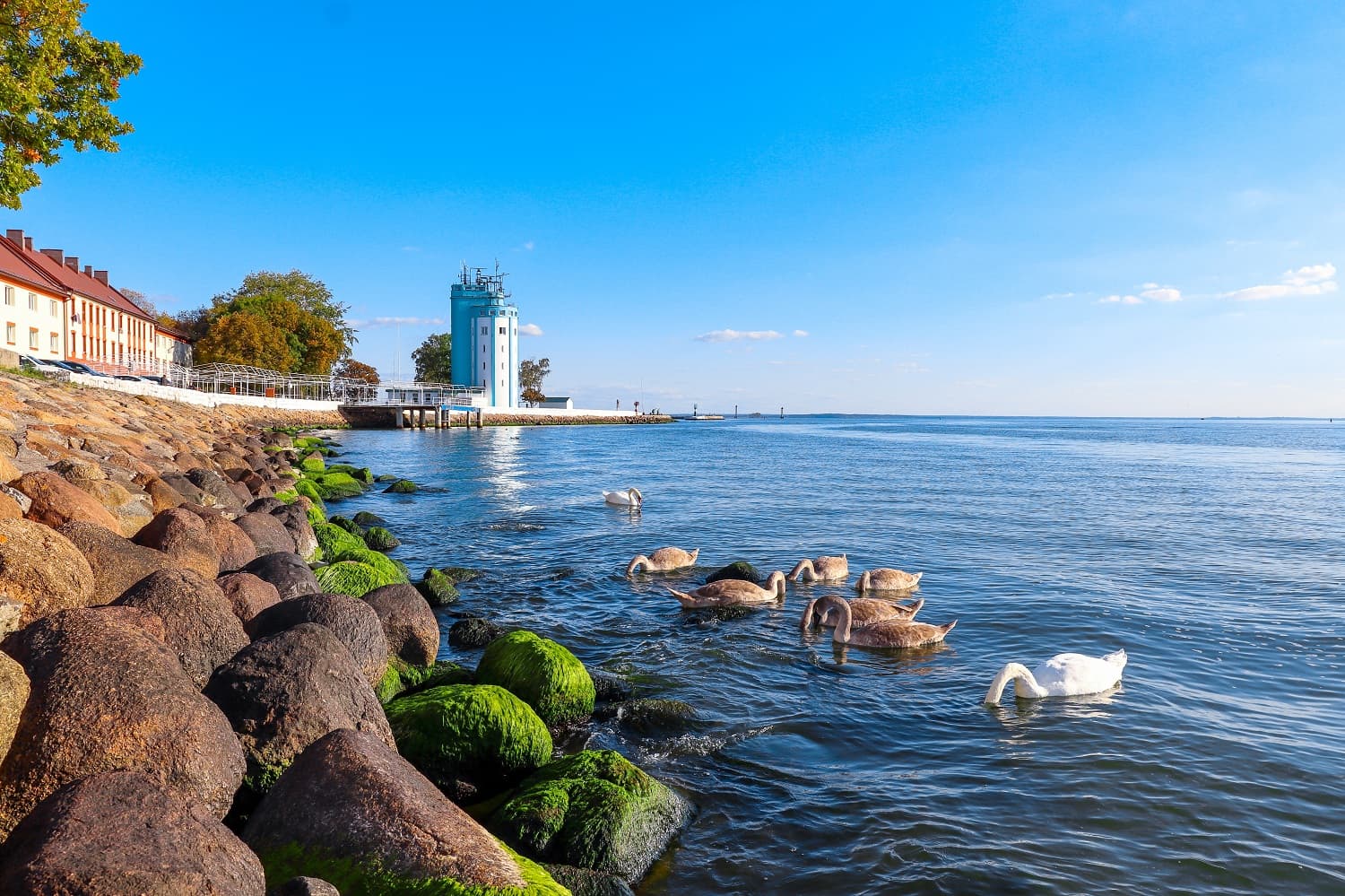 Лоцманская башня