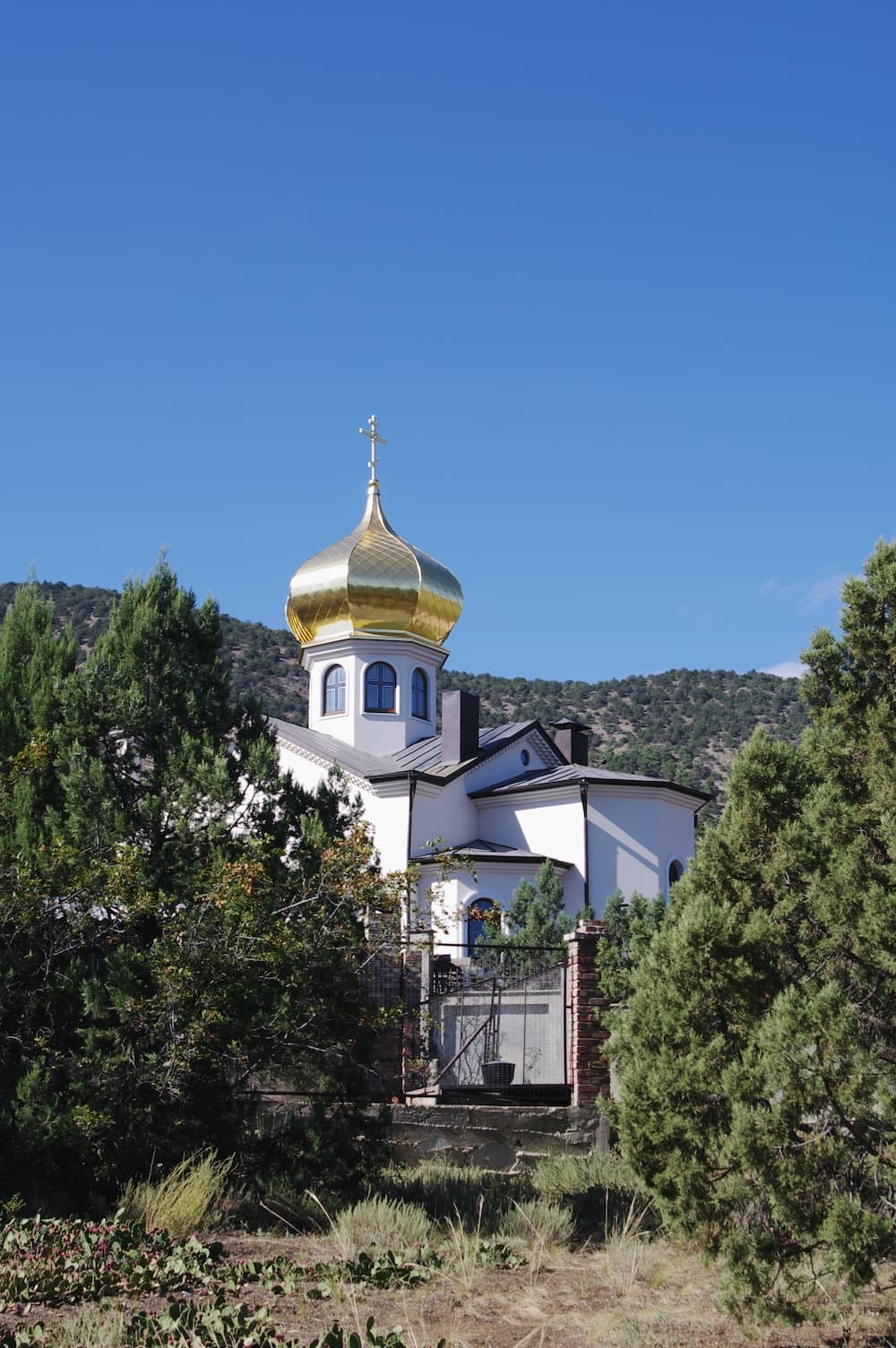 Храм Святителя Луки