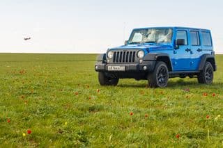 Остров тюльпанов, лотосы и поющие пески: удивительная природа Калмыкии