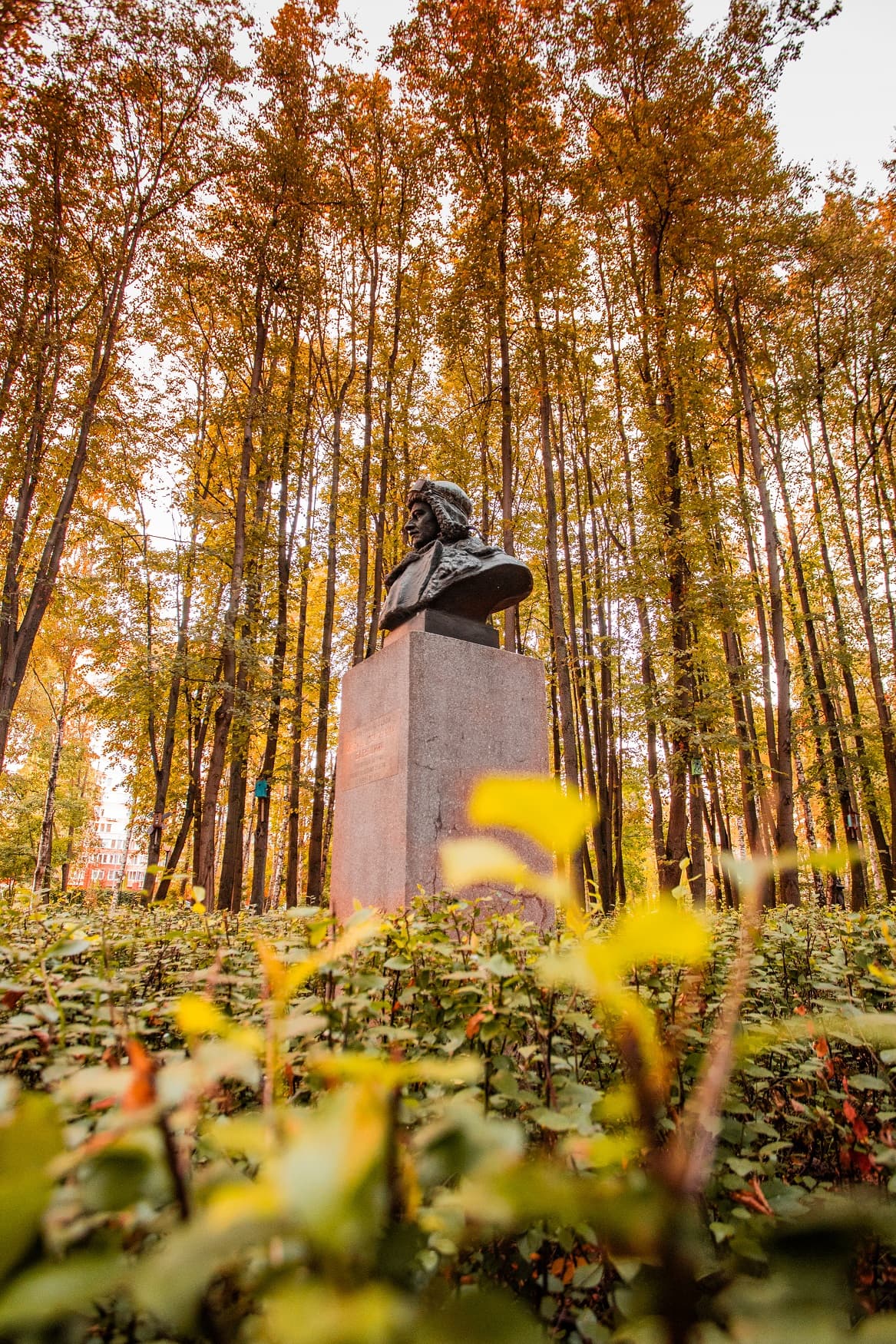 Бабушкинский парк культуры и отдыха
