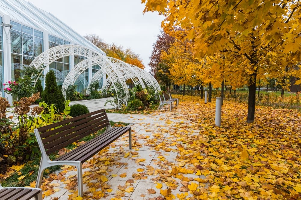 Kolomenskoe Museum-Reserve