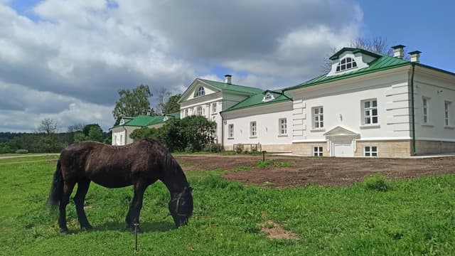 Ясная Поляна