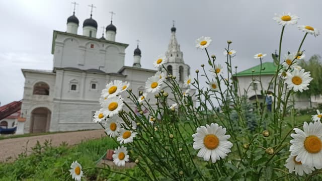 Одоев: кружевоплетение истории, солнечные узоры и релакс (на автомобиле заказчика)